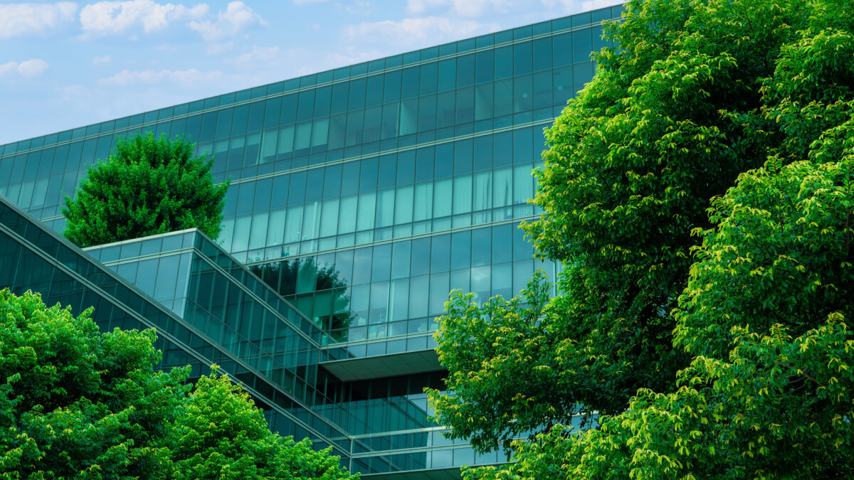 Building with trees